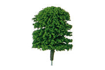 TREE-50